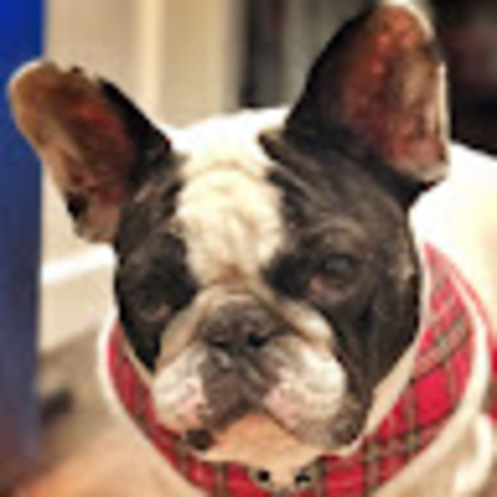 Meet your Posher, April